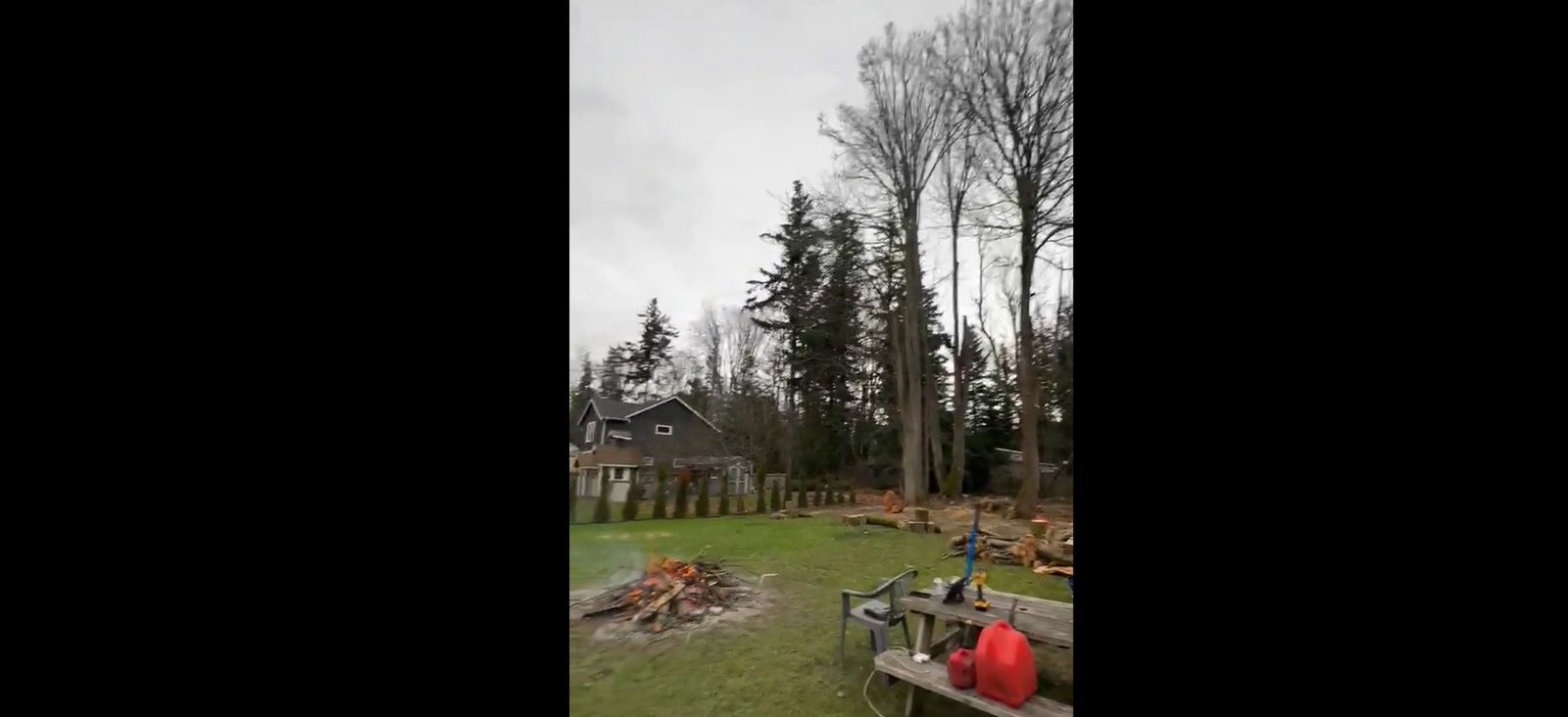 Cutting from middle trunk